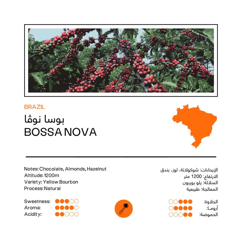 48e - Bossa Nova | Brazil 250g