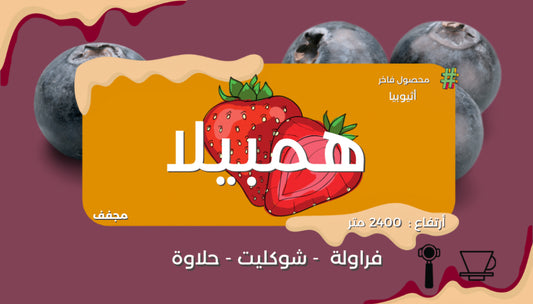 OYW - Ethiopia Hambila 250g - اثيوبيا همبيلا