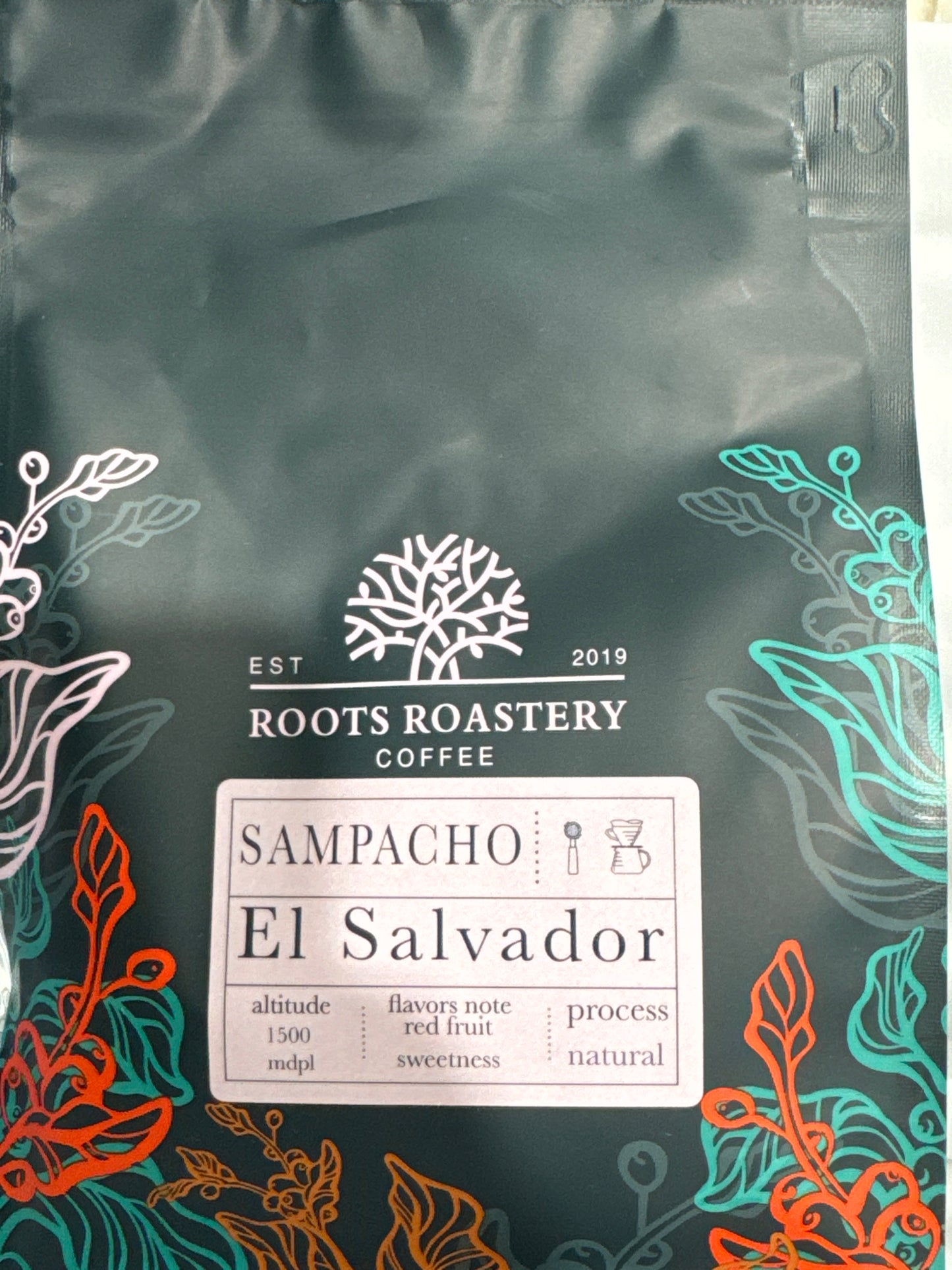 Roots - El Salvador Sampacho - سالفادور سامباتشو