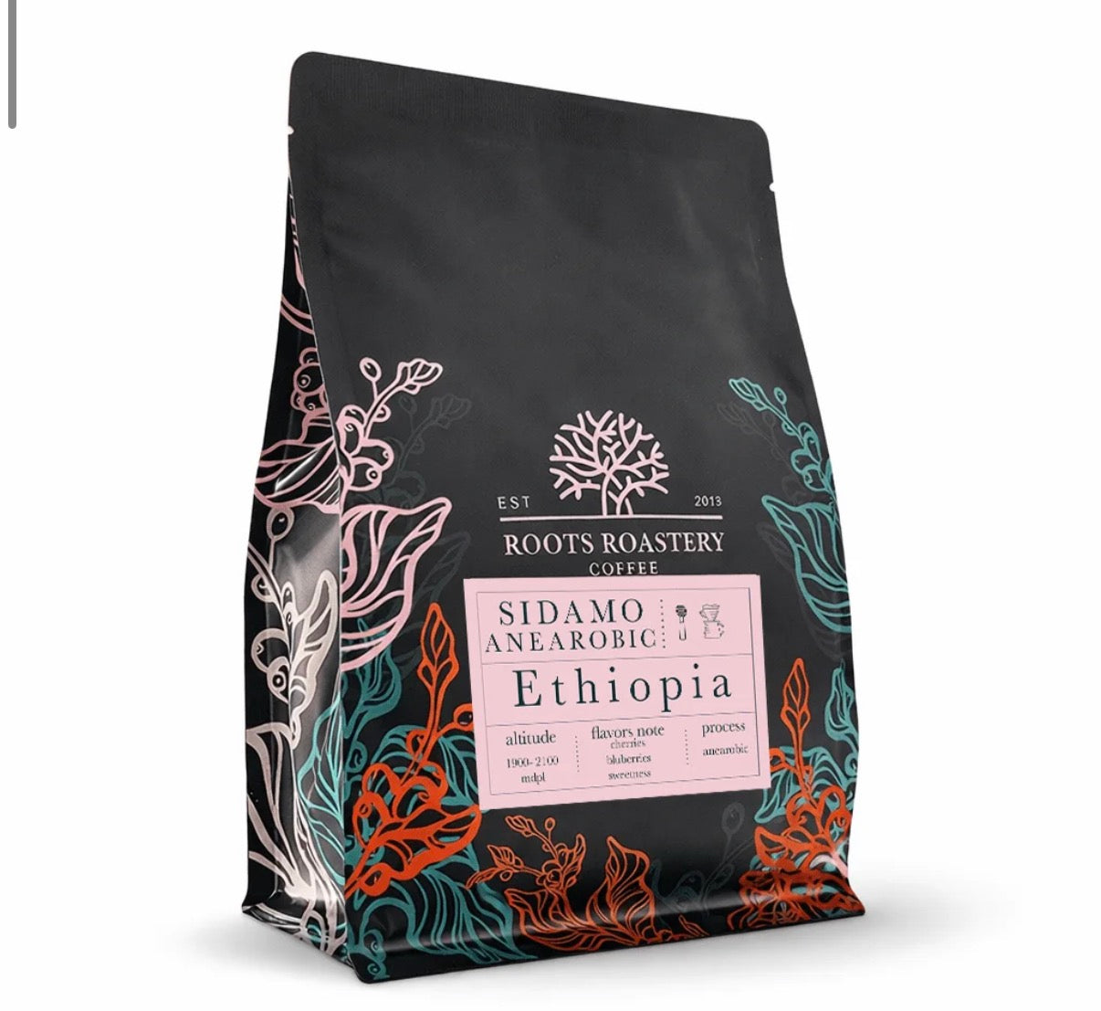Roots - Ethiopia Sidamo Anearobic 250g - سيدامو لاهوائي