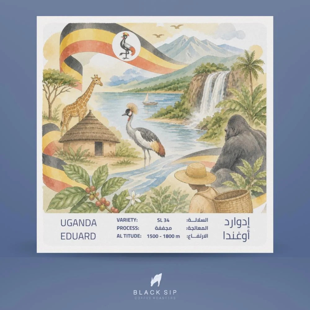 BlackSip - Eduard Uganda 250g - إدوارد أوغندا
