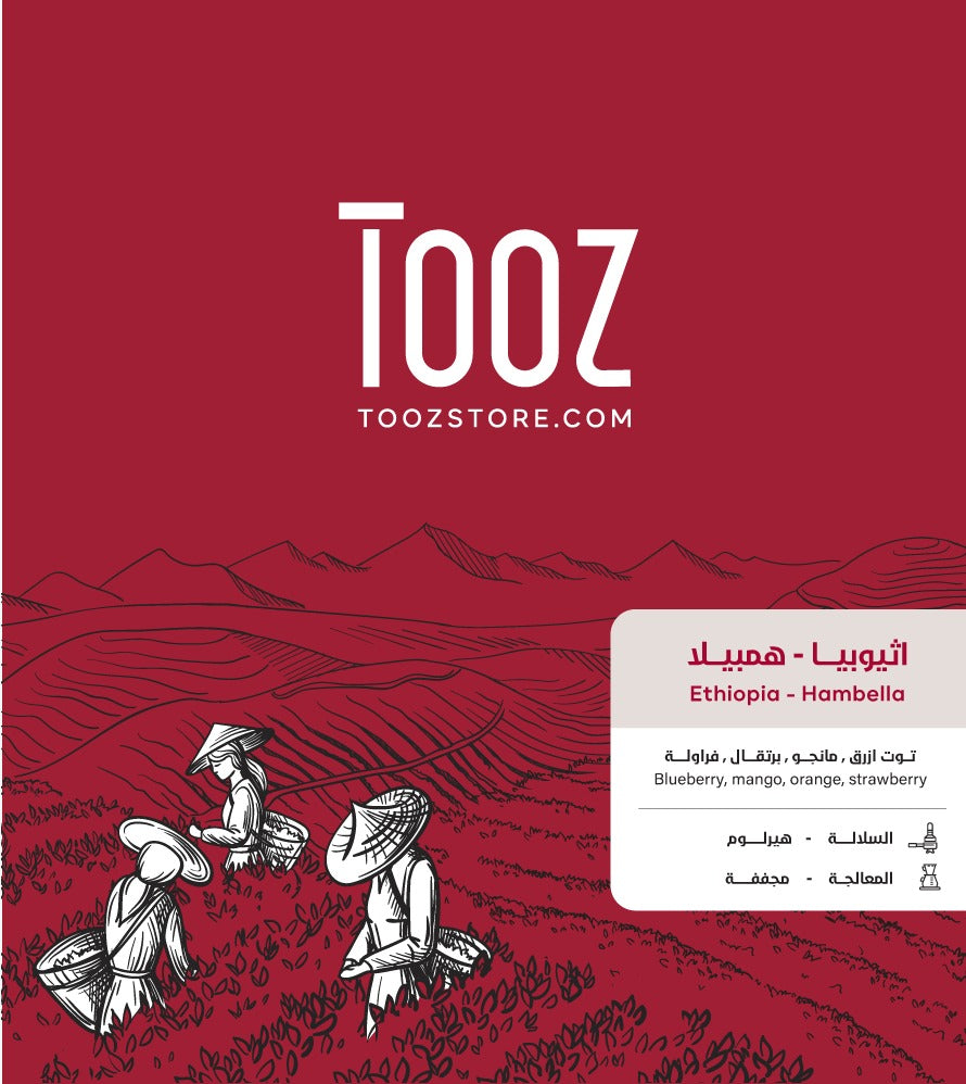 Tooz - Ethiopia Hambella 250g - اثيوبيا هامبيلا