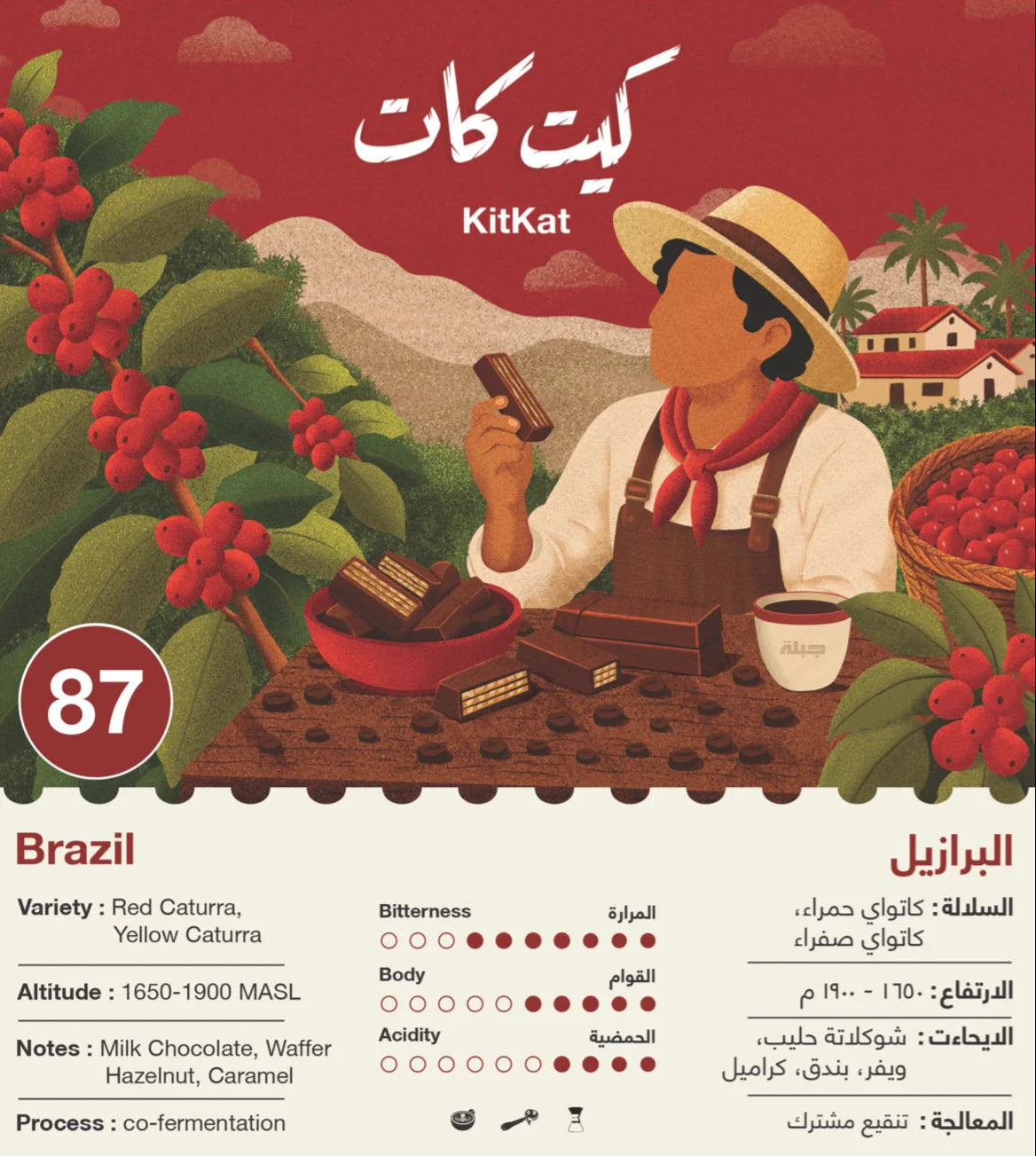 Jebla - KitKat Brazil 250g - البرازيل كت كات