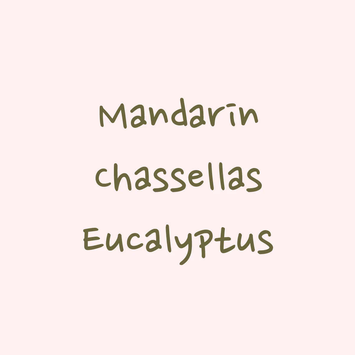 Hydrangea - Typica Mejorado Washed Hacienda La Papaya 114g