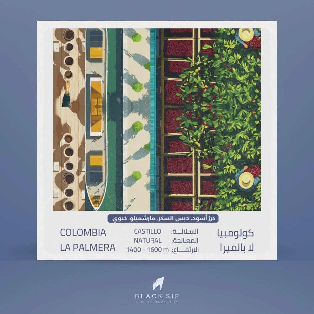 BlackSip - La Palmera Colombia 250g - لا بالميرا كولومبيا