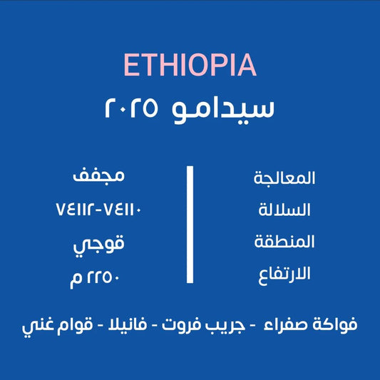 KUF - Sidamo 2025 Ethiopia 250G - اثيوبيا سيدامو 2025