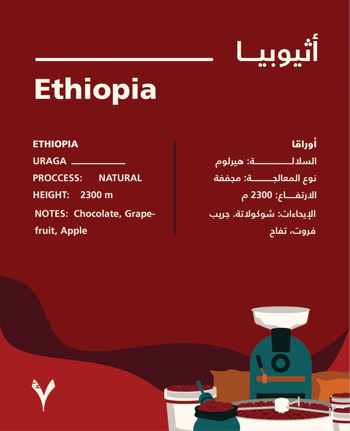 Seven - Ethiopia Uraga Natural 250g - اثيوبيا اوراقا