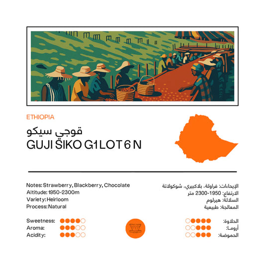 48e - Guji Siko Ethiopia 250g - اثيوبيا قوجي سيكو