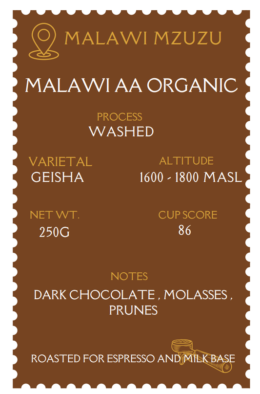 NAS - Malawi Organic AA Geisha 250G