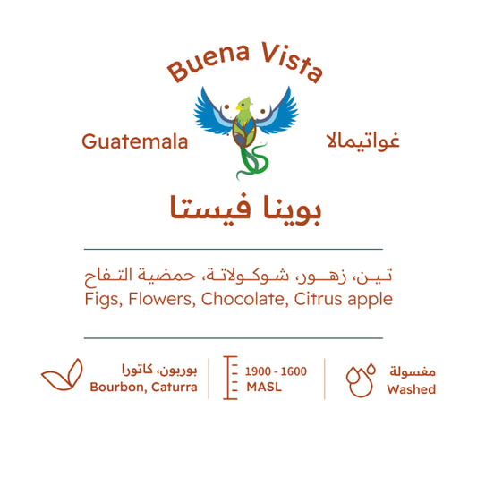 RH - GUATEMALA Buena Vista 227g - غواتيمالا بوينا فيستا
