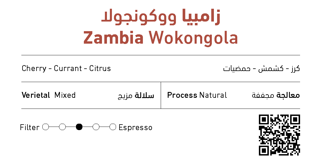 بونيستا  - زامبيا ووكونجولا