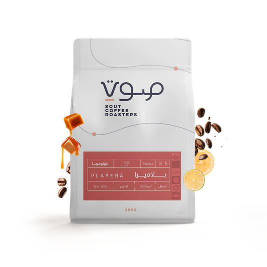 Sout -  Colombia Plamera 250g - كولومبيا بلاميرا