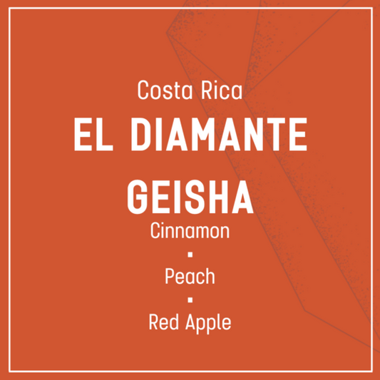 El Diamante Geisha - Filter