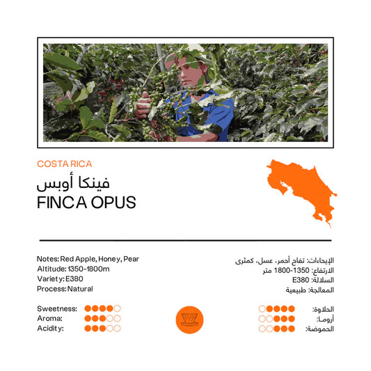 48e - Finca Opus Costa Rica 250g - كوستريكا فينكا اوبس