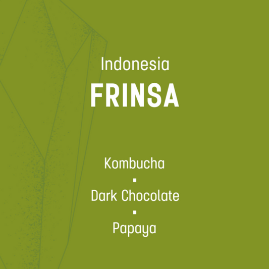 Frinsa - Filter