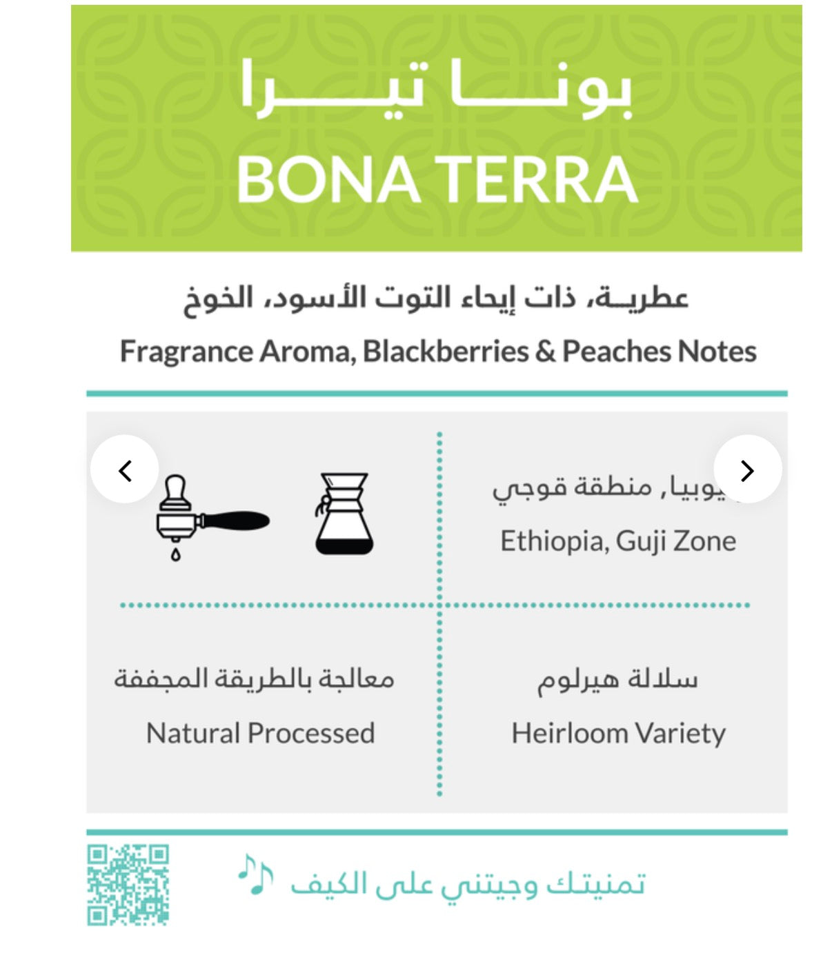 Kiffa Ethiopia bona terra 250g  - اثيوبيا بونا تيرا