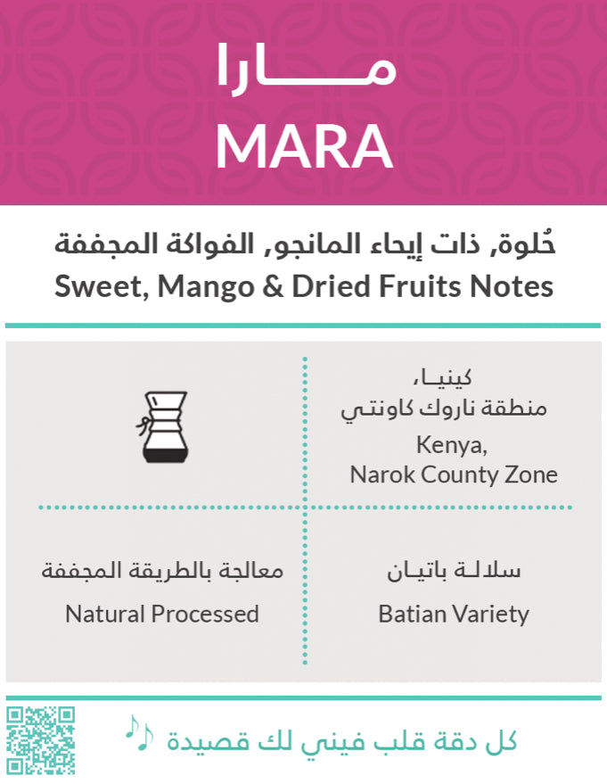 Kiffa Kenya Mara 250g -  كينيا مارا