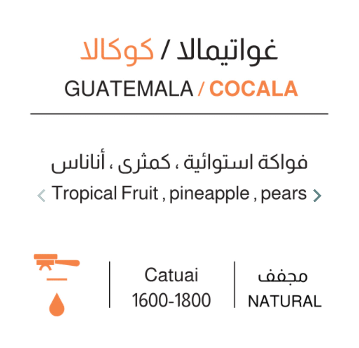 Webrew - Guatemala Cocala  250g - غواتيمالا كوكالا