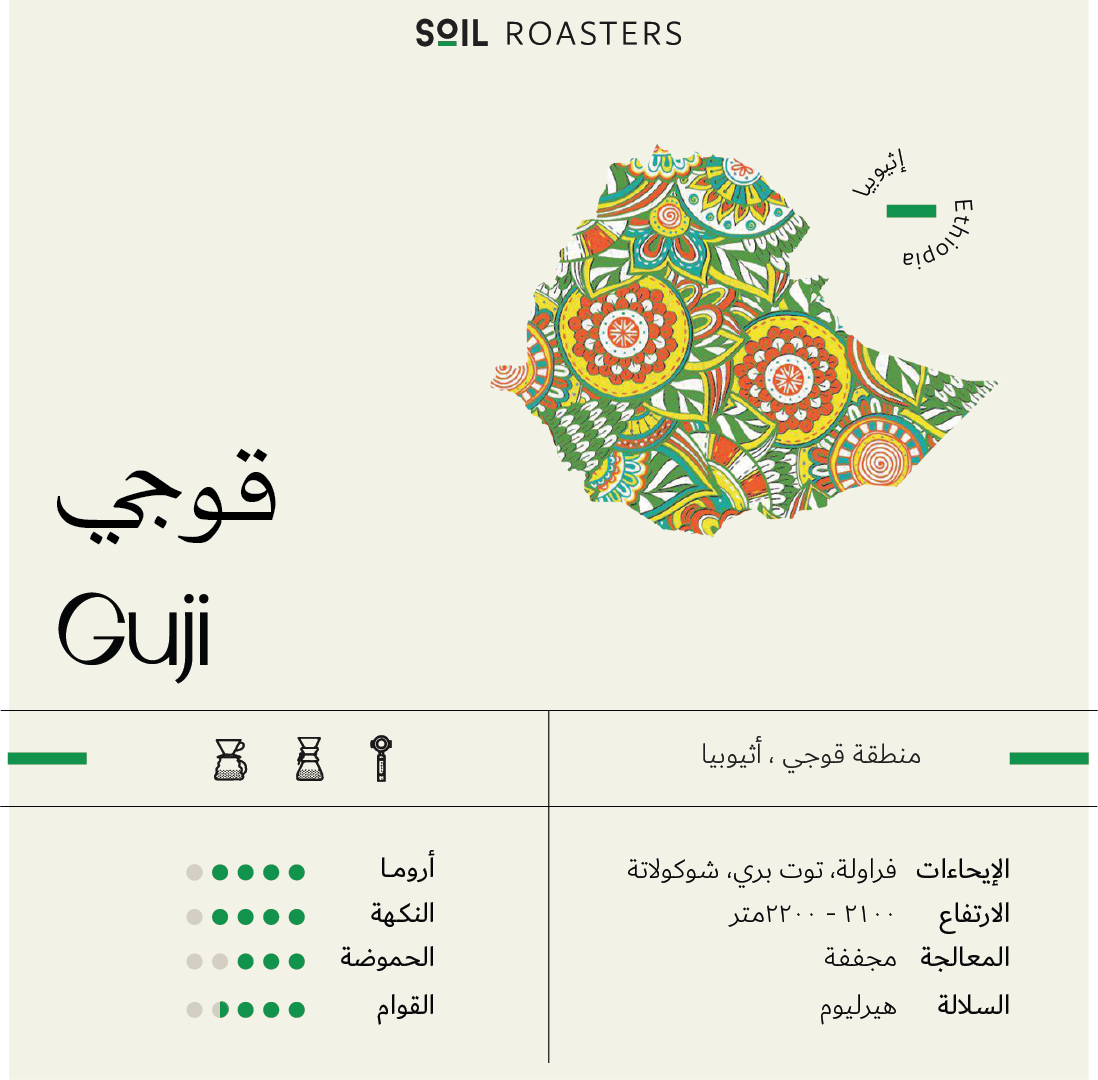 سويل قوجي اثيوبيا - Soil Ethiopia Guji (250g)