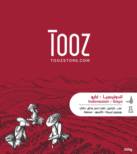 Tooz - Indonesian Gayo 250g - اندونيسيا غايو