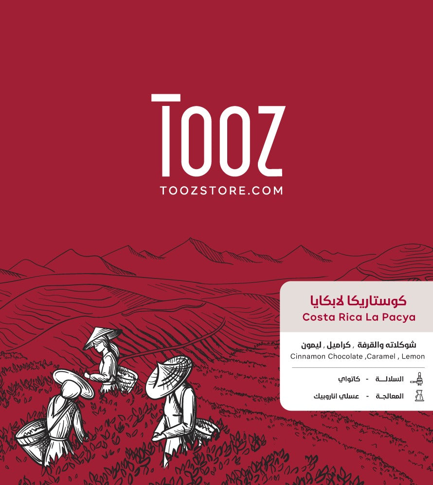 Tooz - CostaRica La Pacya 250g - كوستريكا لابكايا