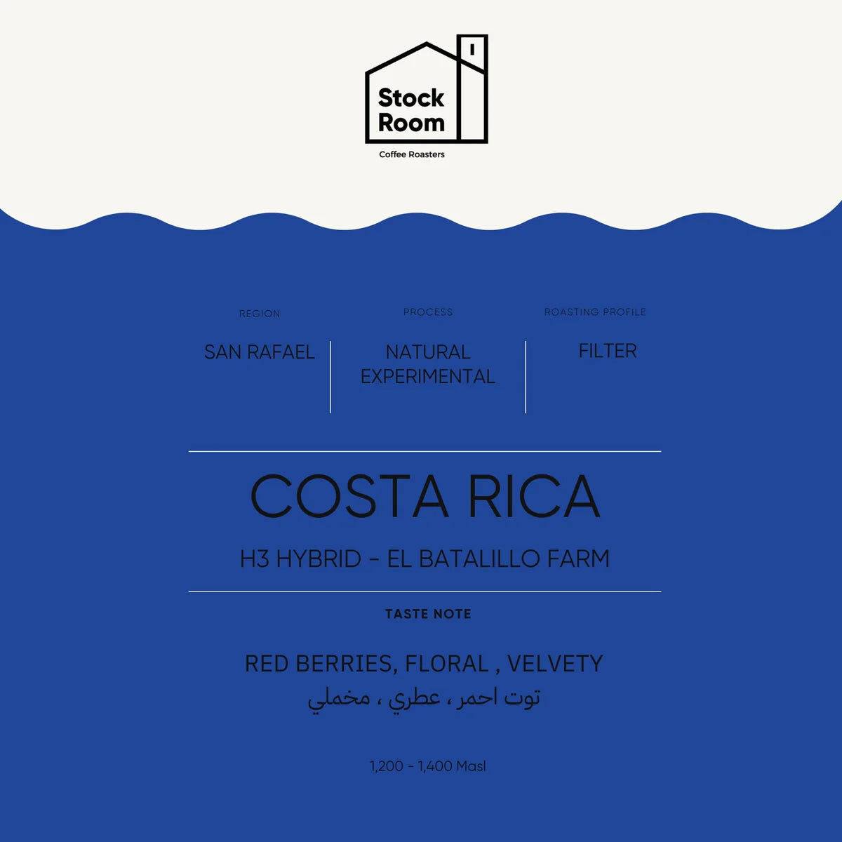 StockRoom - Costa Rica H3 Hybrid 250g