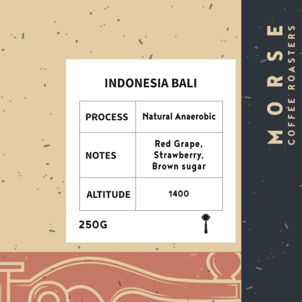 Morse - Indonesia Bali 250g - اندونيسيا بالي  ( Espresso )