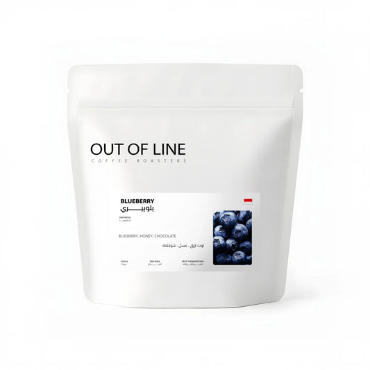 OOL - Indonesia Blueberry 125g - إندونيسيا بلو بيري