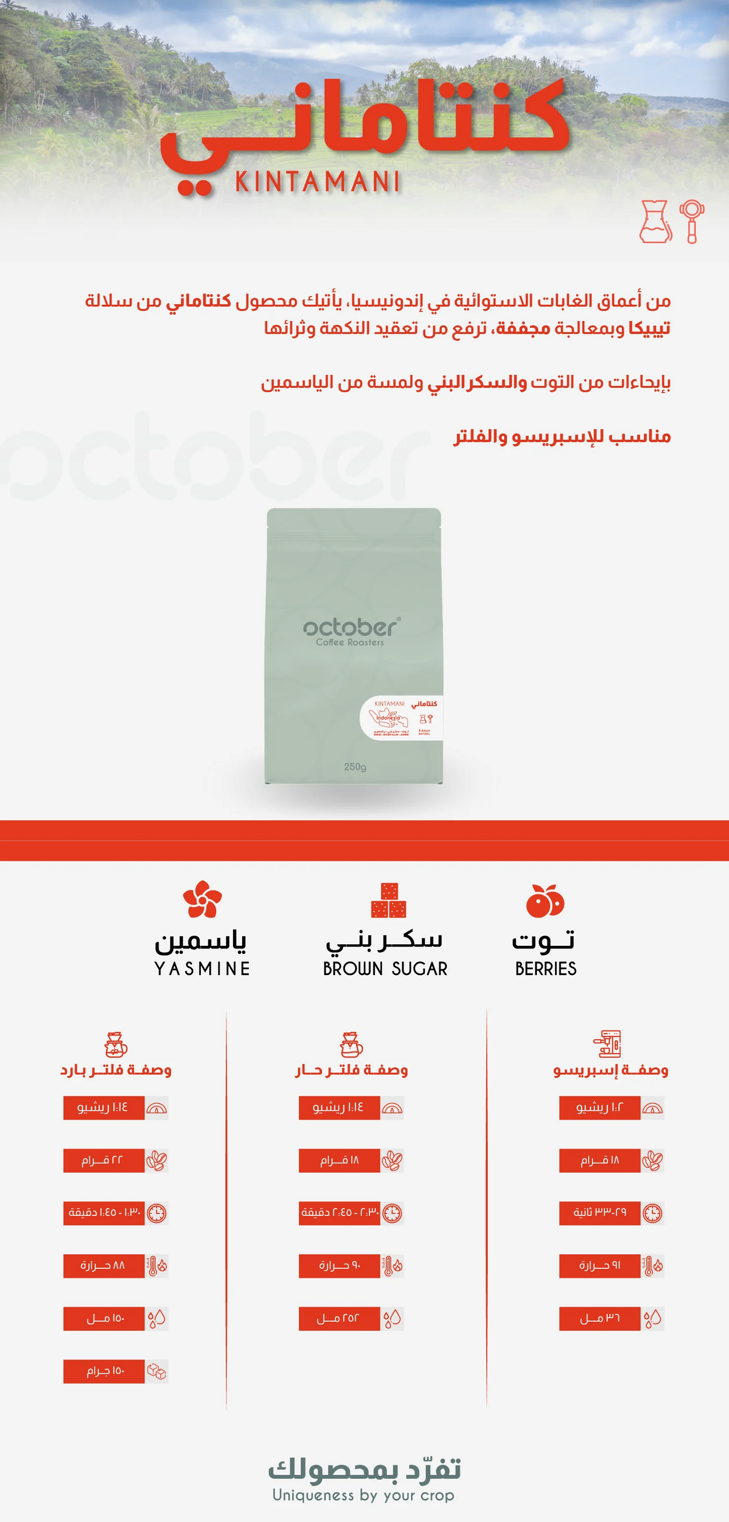 October - Kintamani Indonesia 250g - اندونيسيا  كنتاماني