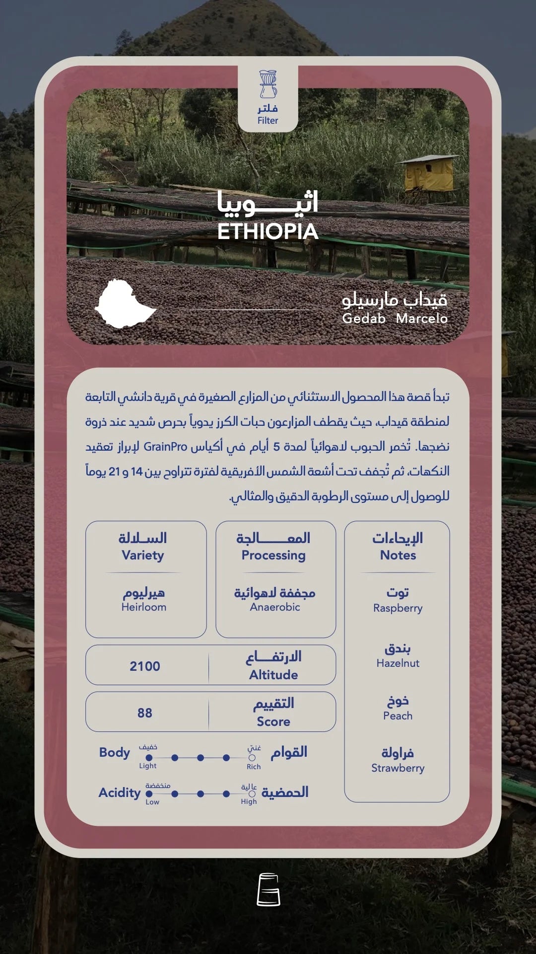 Suwaa - Gedab Marcelo Ethiopia 250g - اثيوبيا قيدب مارسيلو ( Filter )