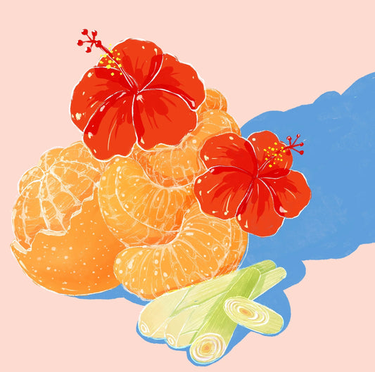 Hydrangea - Gesha Hero series Bio‑innovation Washed La Palma y El Tucan 114g