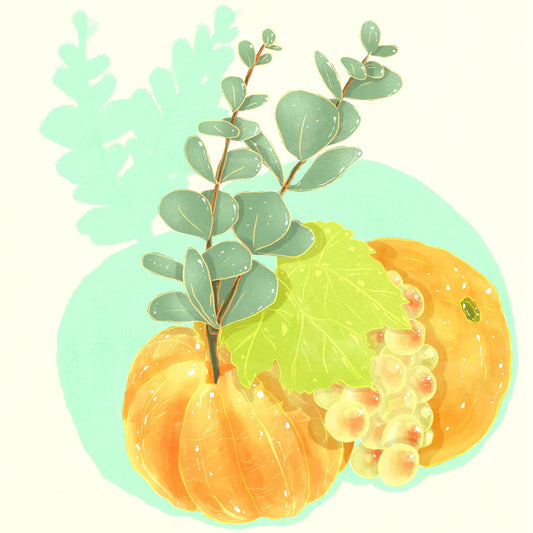 Hydrangea - Typica Mejorado Washed Hacienda La Papaya 114g