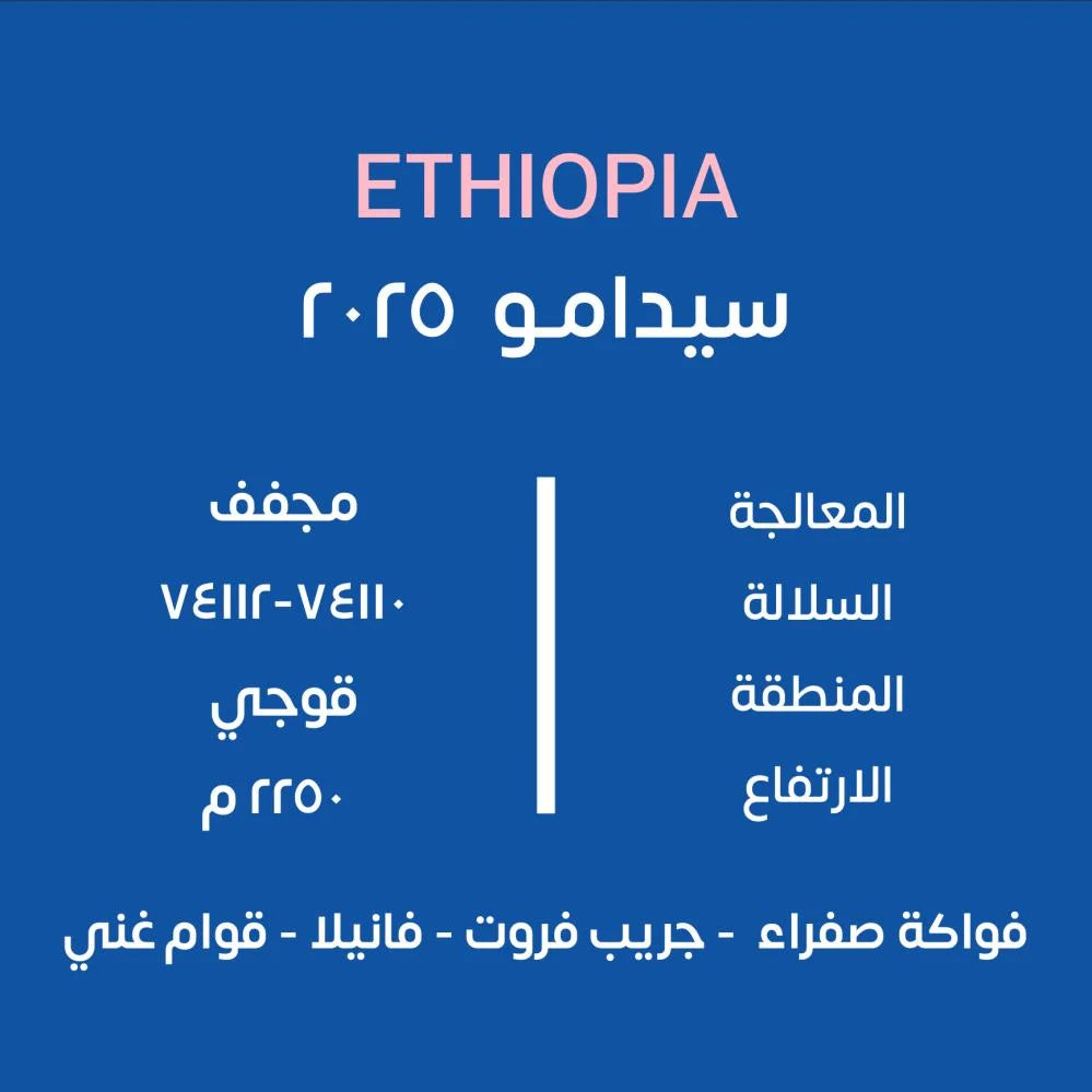 KUF - Sidamo 2025 Ethiopia 250G  - اثيوبيا سيدامو 2025