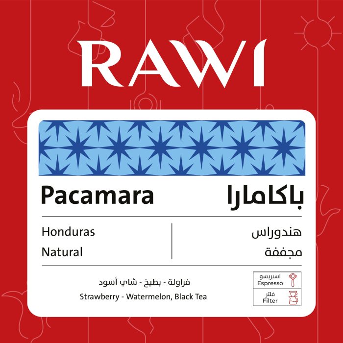 Rawi Pacamara 250g - باكامارا
