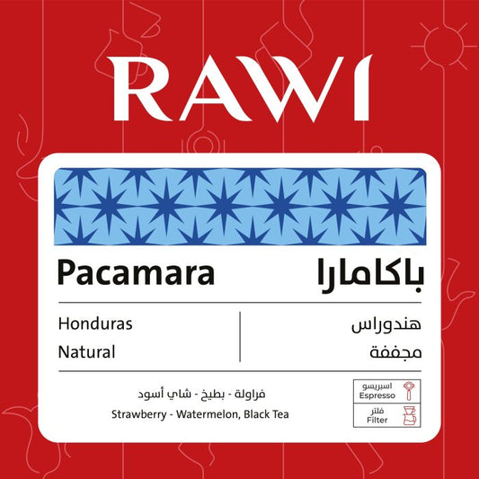 Rawi Pacamara 250g - باكامارا