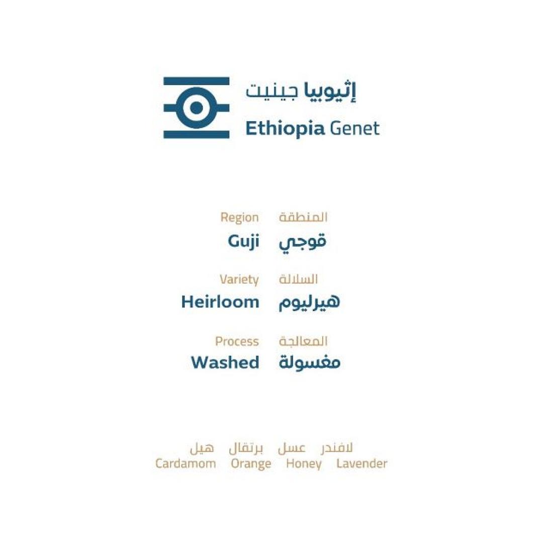 CamelStep - Ethiopia Genet 250g - اثيوبيا جينيت