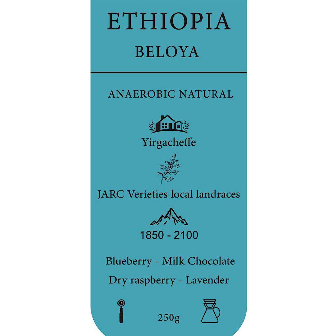 EULER - Ethiopia Beloya 250g - اثيوبيا بلويا