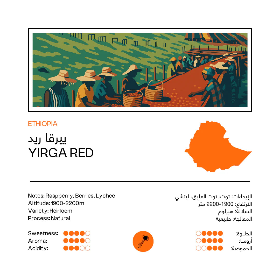 48e - Yirga Red | Ethiopia 250g