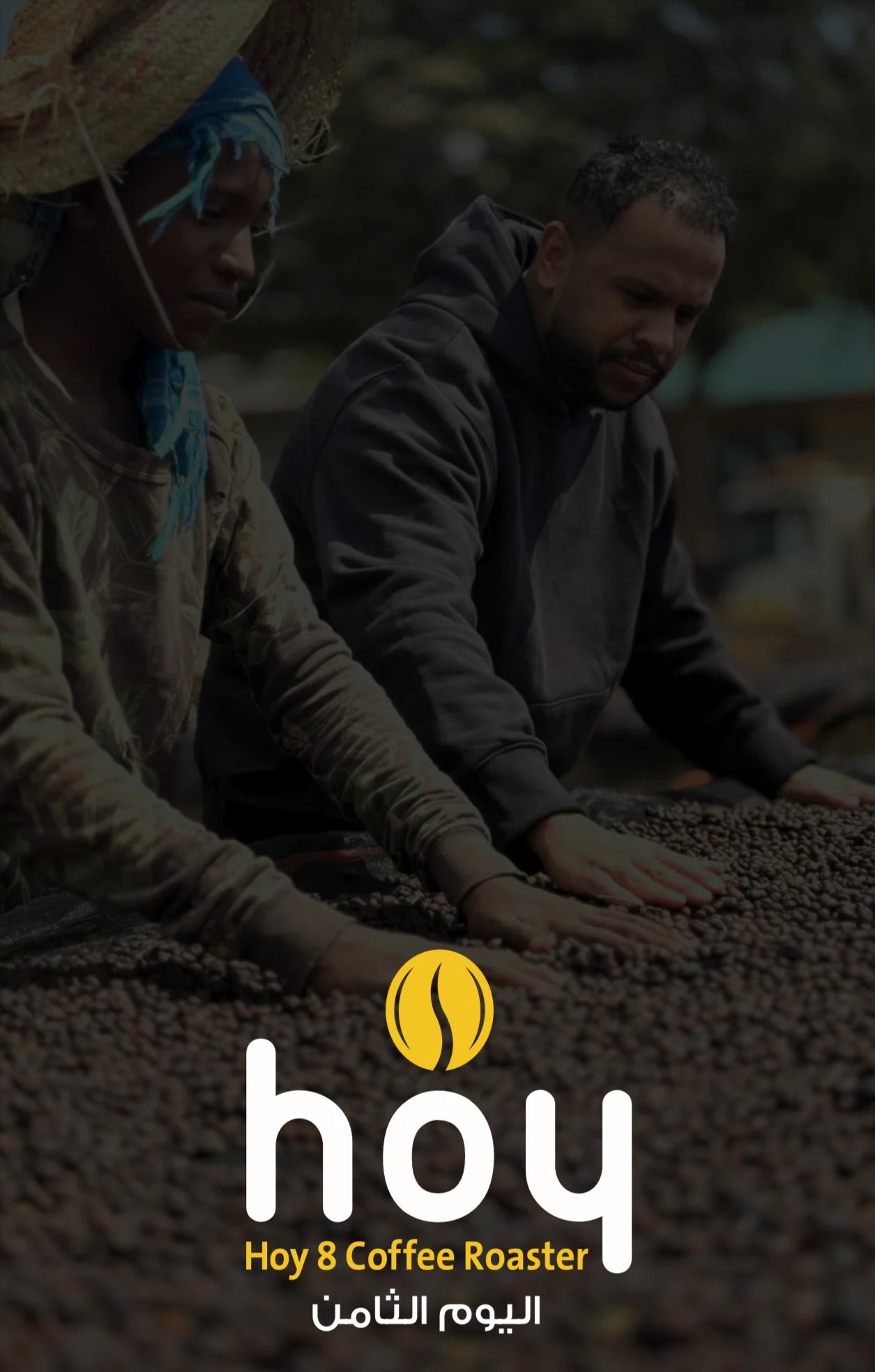 Hoy8 Hafroosa Ethiopia 250g  - هافورسا  اثيوبيا