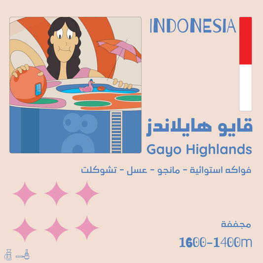 Olala - Indonesia Gayo Highlands 250g - قايو هايلاندز اندونسيا