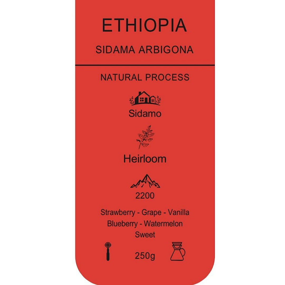 EULER - Ethiopia Siadama Arbigona 250g - اثيوبيا سيداما أربيغونا