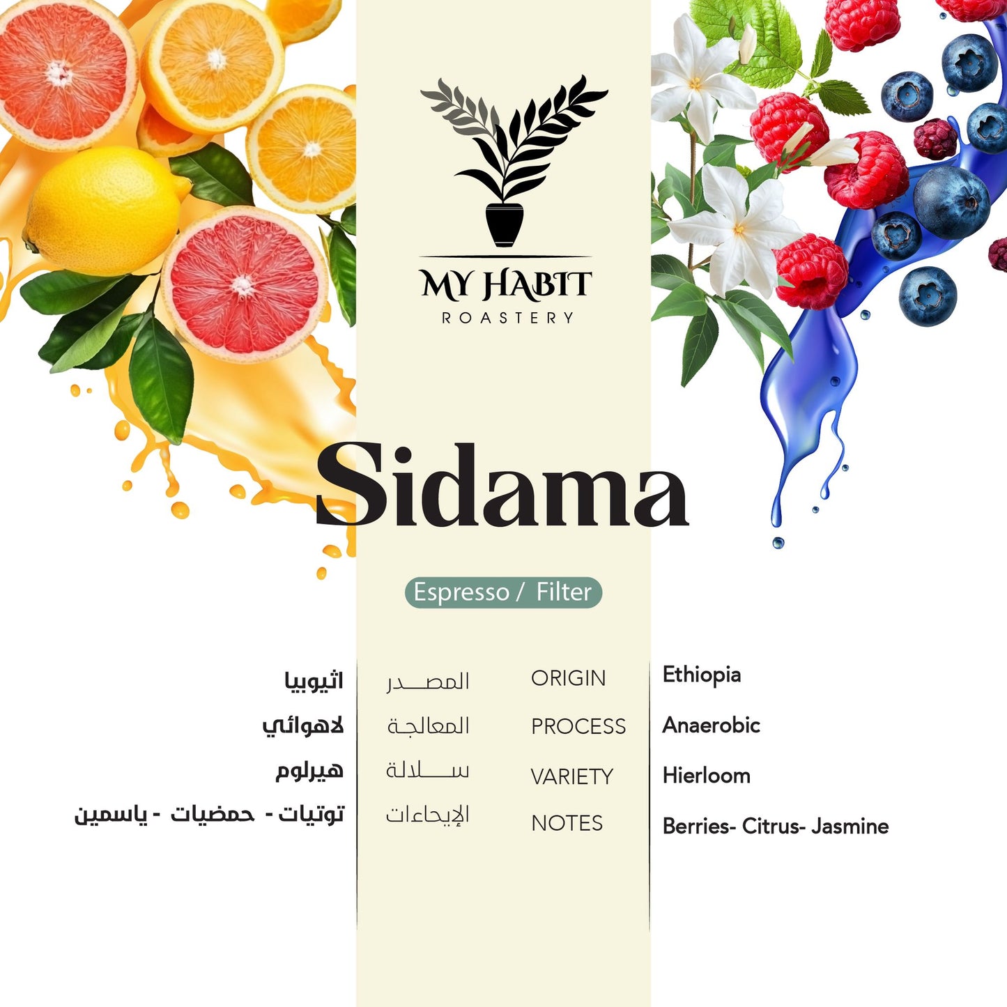 Habit - Ethiopia Sidama Anaerobic 250g