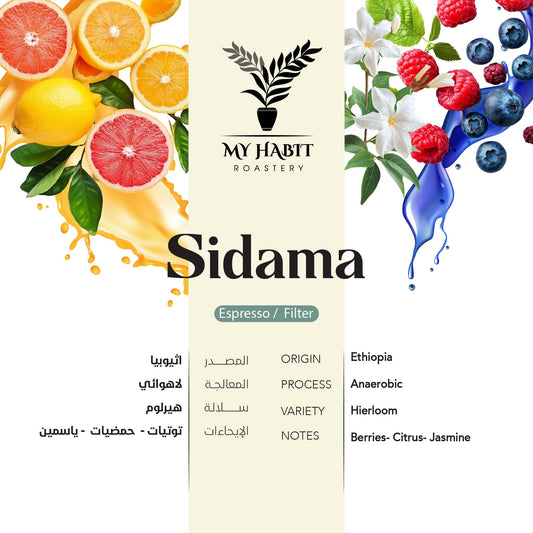 Habit - Ethiopia Sidama Anaerobic 250g