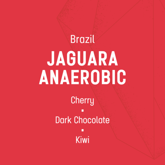 Jaguara Anaerobic - Espresso