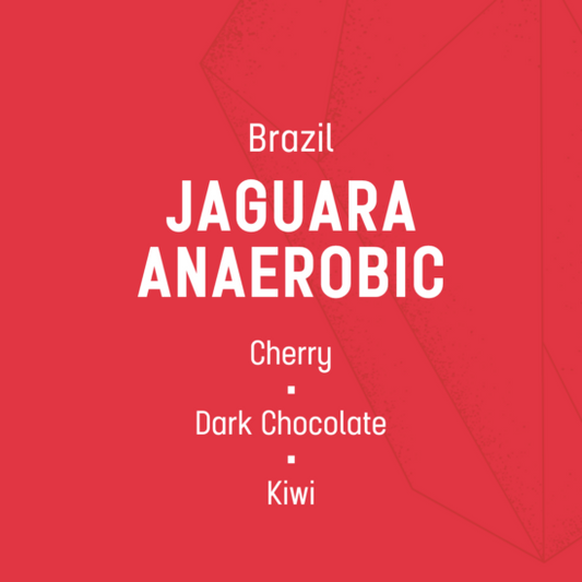 Jaguara Anaerobic - Filter