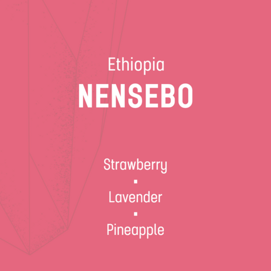 Nensebo - Espresso