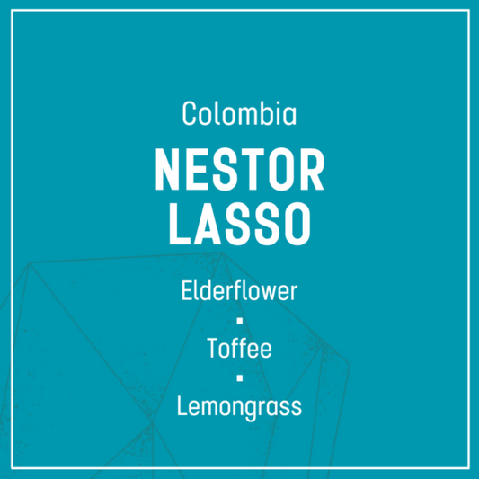 Nestor Lasso - Filter