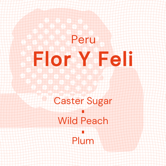 Flor Y Feli - Filter