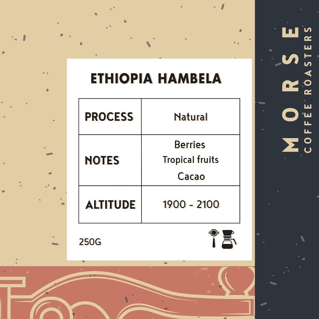 Morse Ethiopia Hambela - اثيوبيا همبيلا مجففه 250 جرام