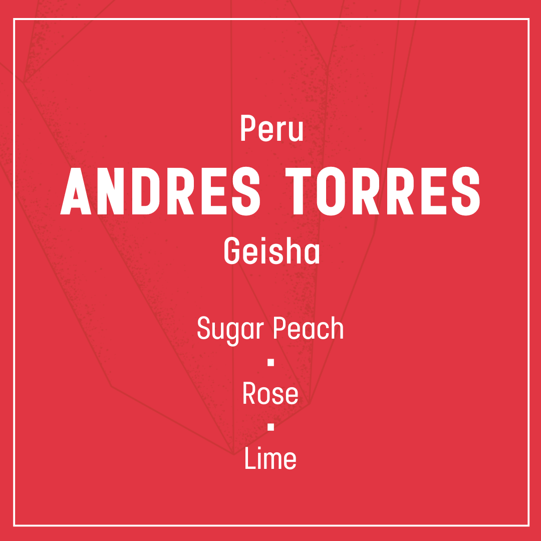 Andrès Torres Geisha - Filter